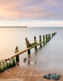 /album/fotogaleria-naturaleza/photomar04072010823-jpg/
